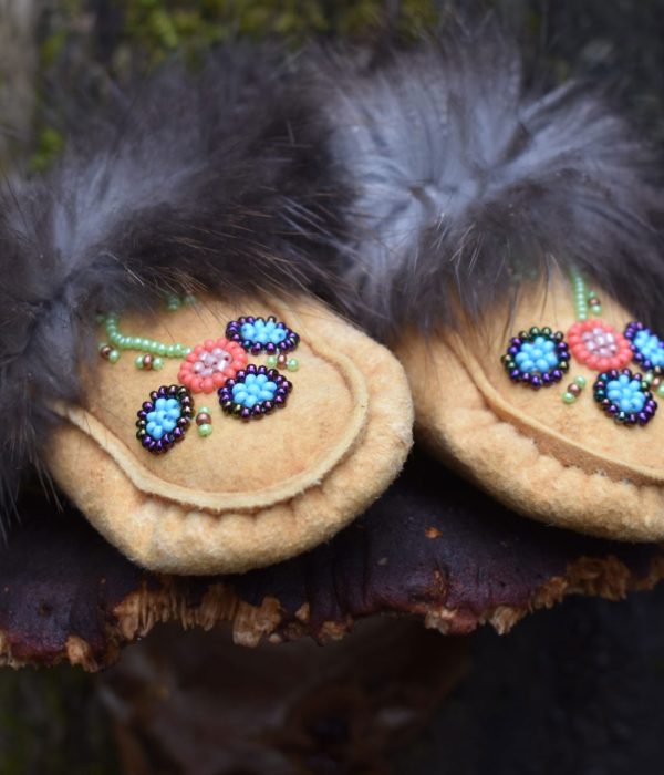 Anishnabe-Alliance-projets